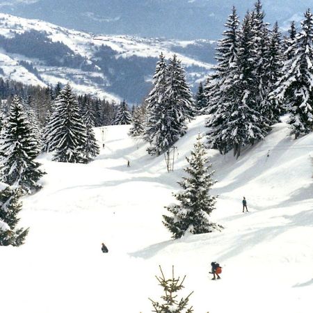 Woodland Village Anzere Ayent Dış mekan fotoğraf