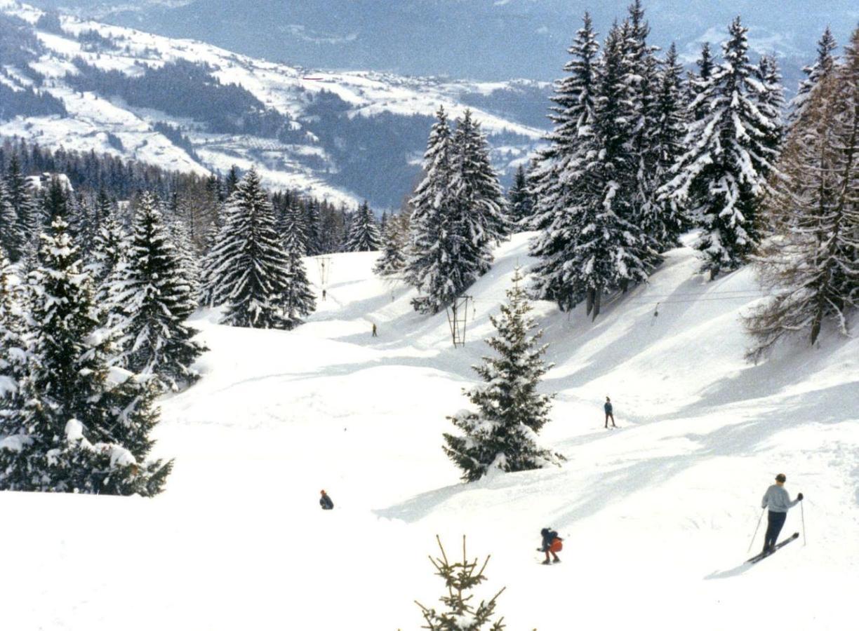 Woodland Village Anzere Ayent Dış mekan fotoğraf